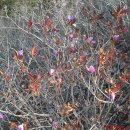 연화 태양광발전소 이미지