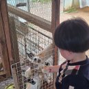 찬우물 | 일산동물원 추천 식사동 찬우물체험동물농장 아이랑 다녀온 후기
