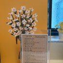 헤이애월 이미지