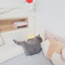 로스트엠 이미지