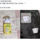 승승장구에프앤비