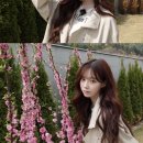 머리 잘 헤어 이미지