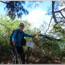 매봉산4 이미지