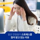 유성한방병원 네이버블로그