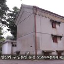 장금호농장 네이버블로그