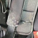 크린팡팡 이미지