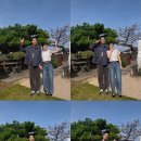 월령지헌 이미지