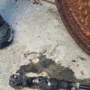 광남안로 이미지