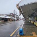 건어물시장 | 강릉 주문진 건어물시장 돌고래건어물 솔직 후기