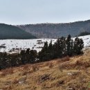 성읍리-18 이미지