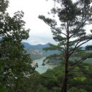거목 Daum카페