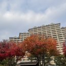 소노문 비발디파크 이미지