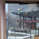 회와 멍게 친구들 | [판옥선] 서울 종각술집 숙성회리필전문맛집 방문 후기