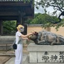 [일본 교환학생] D+88 - 94 혭숮 2일차 즐긴 다음 가은이랑 데이트 하고 레이랑 지은이랑 지브리 전람회...