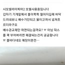 아피아