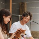 라파엘 동물병원 이미지