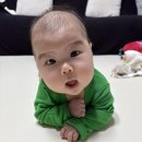예손재활의학과병원 | 신생아 사경 증상과 원인, 교정 방법💡 | 강북삼성병원 재활의학과 진료 후기