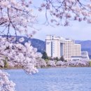 소노벨 경주 이미지