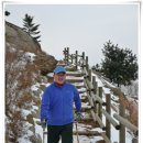 노르딕워킹 이미지