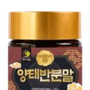 청춘브라더스 이미지