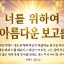 하늘보고