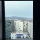 (주)조선호텔앤리조트 포포인츠 조선 명동 | 포포인츠 바이 쉐라톤 조선 서울 명동 호텔 숙박, 플래티넘 혜택, 에볼루션 조식 후기