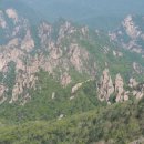 신화태권도 이미지