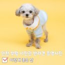 이렇게 좋은날 | [인천 부평 사진관 이렇게 좋은날] 부평 사진관에서 강아지 증명사진 찍은 후기!!