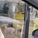 아이러브멍 이미지