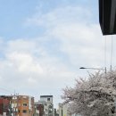 우성아파트정문(17239) | 봉천~낙성대 간단한 임장후기(4/6)