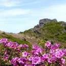 명산모텔