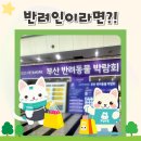 반려인이라면? PET&amp;MORE 부산 반려동물 박람회로!