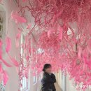 아미미술관 | 당진 아미미술관 솔직후기｜사진 찍기 좋은 감성 여행지 + 입장료 주차 정보