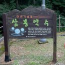 요즘 근황 소개, 감자캐기 향리원마라탕 아이엠어바텐더 후기 등등