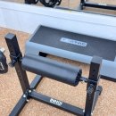 금강헬스 | 안중헬스 다이어트 운동 효과 노하우 보스턴짐 후기