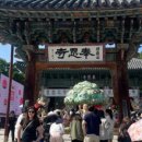 술파남&파파남