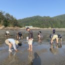 백합잡기체험 아이뉴스24