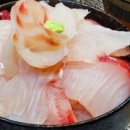 일상탈출여행클럽 이미지