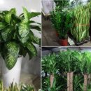 광명농원 이미지