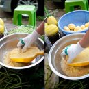 남진농장 이미지