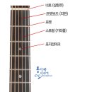 기타 포지션마크(점 두 개 12번 프렛) / 인레이(Inlay)와 바른 연주자세 이미지