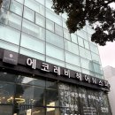 댕댕살롱앤스파 | 해운대 센텀 미용실 에코레비헤어앤스파 염색 후기