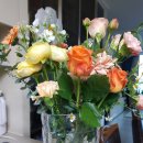 창단연주회 | 루치다싱어즈(여성 선교합창단) 창단 연주회 후기