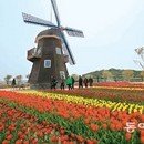 국제민박펜션 이미지