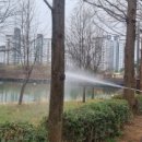 남구-17 이미지