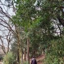 해남2박3일 / 삼산브레드,대흥사, 고산유적지