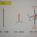 씨은어 훌치기 채비 추가 보완| 이미지