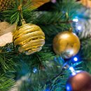 뱅크트리 이미지