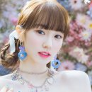 엔브이 이미지