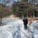 내 집의 분경 이미지